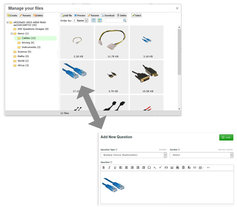 File Manager for Assessment Software